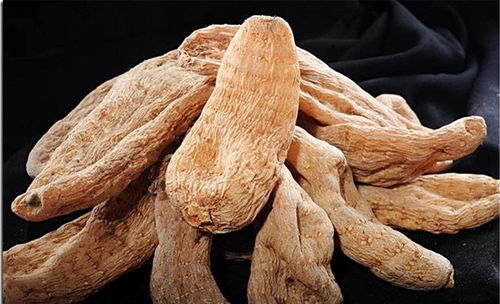 暑假里補(bǔ)充營養(yǎng),推薦孩子吃四種食物,補(bǔ)充營養(yǎng),改善血液循環(huán)