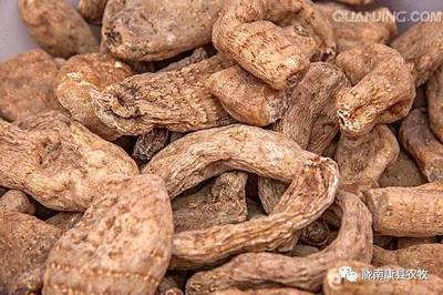 康縣農(nóng)特產(chǎn)品推介會(huì)即將盛大開幕,期待您的參與