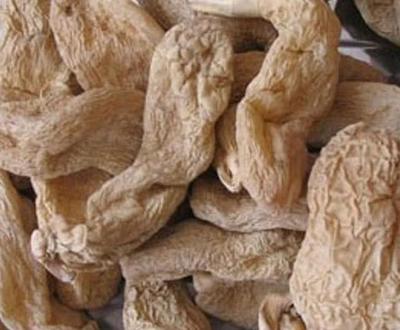 深山里這種&ldquo;野味&rdquo;市場價格一斤3000元,網(wǎng)友:買不起