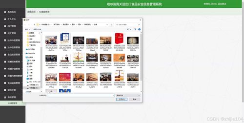 基于django vue vue哈爾濱海關(guān)進出口食品安全信息管理系統(tǒng) 計算機畢設(shè)